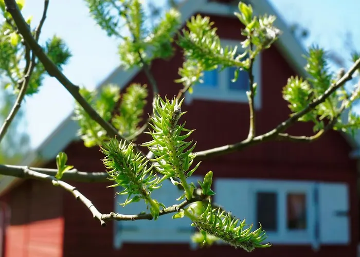 אכסניה Drewniany